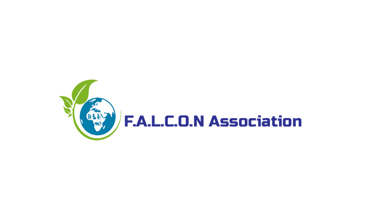 Falcon-Association.jpg